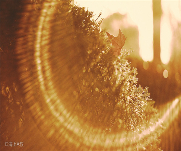 為什么大家喜歡在4月份裝修房子呢？